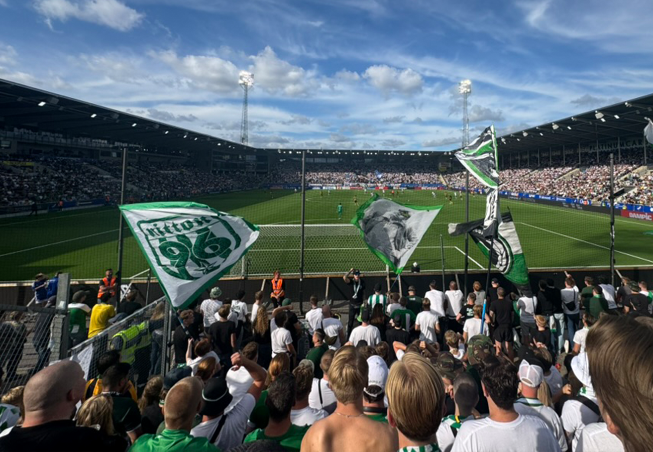 Publikhav med hammarbysupporters